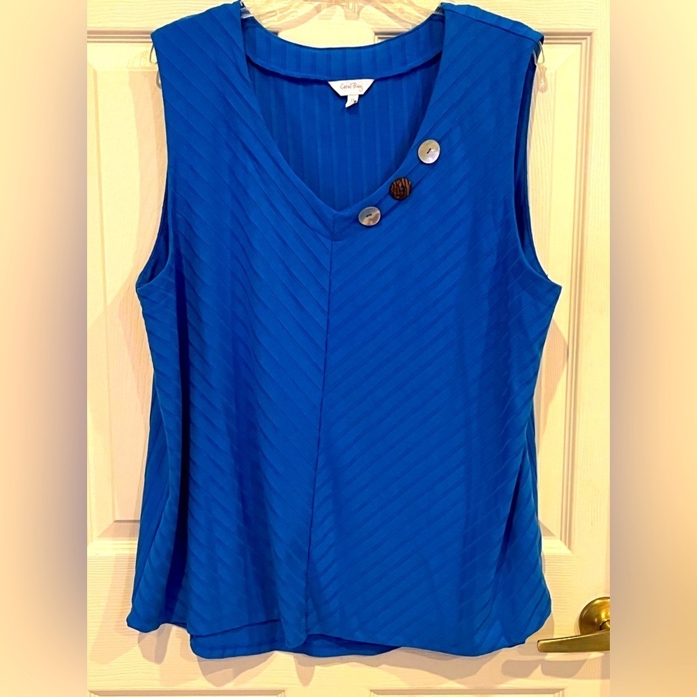 # Blue ribbed sleeveless top – 3X
